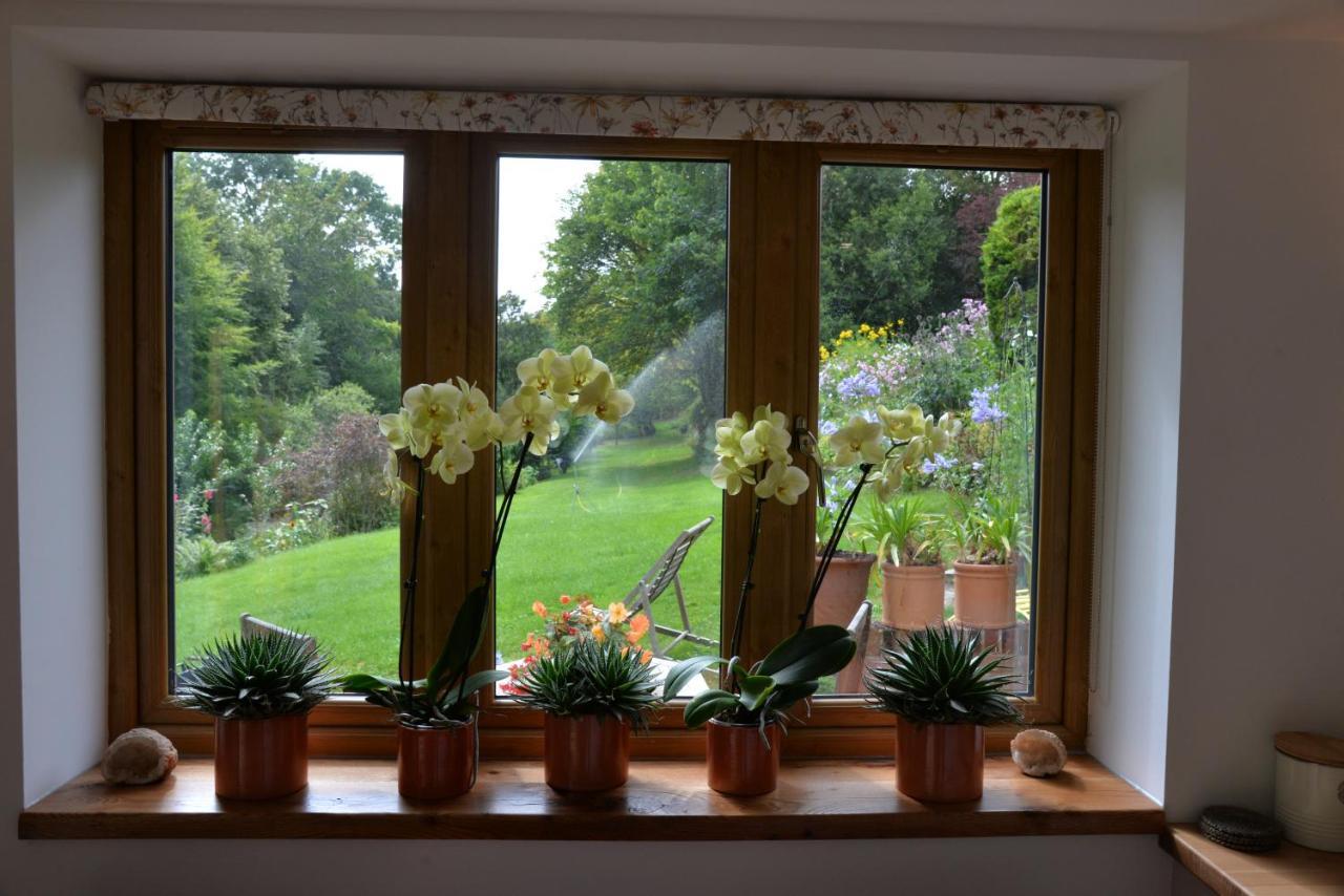 وانتاج Thatchcombe B&B المظهر الخارجي الصورة